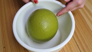 Guide complet : Comment bien doser la bouillie bordelaise pour 1 litre d'eau