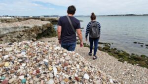 Déchetterie de Barneville-Carteret : Guide complet pour un tri efficace des déchets dans le Cotentin